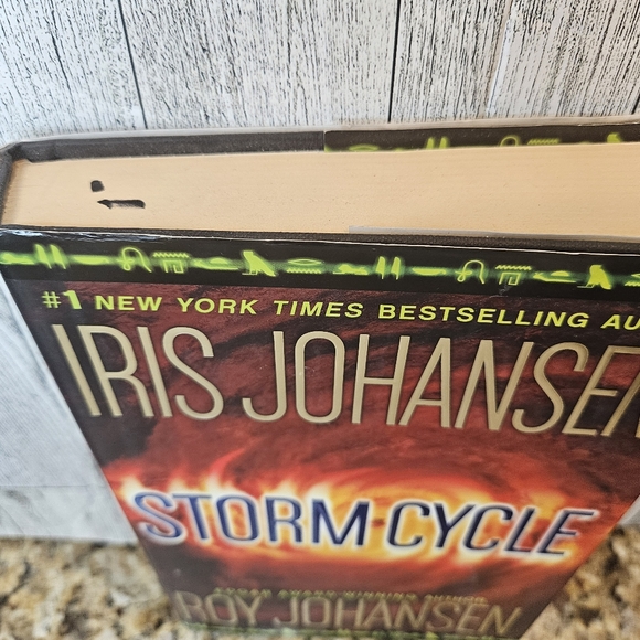 Storm Cycle Hardcover Book Iris Johansen Roy Johansen A Novel 🌙 - Picture 4 of 6